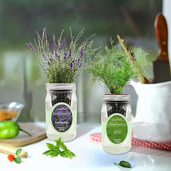 2-Pack Hydroponic Mason Jar Herb Garden Kit Indoor Herb Garden Self-Watering Starter Kit New Christmas Gift for Mom (LavenderRosemary)
