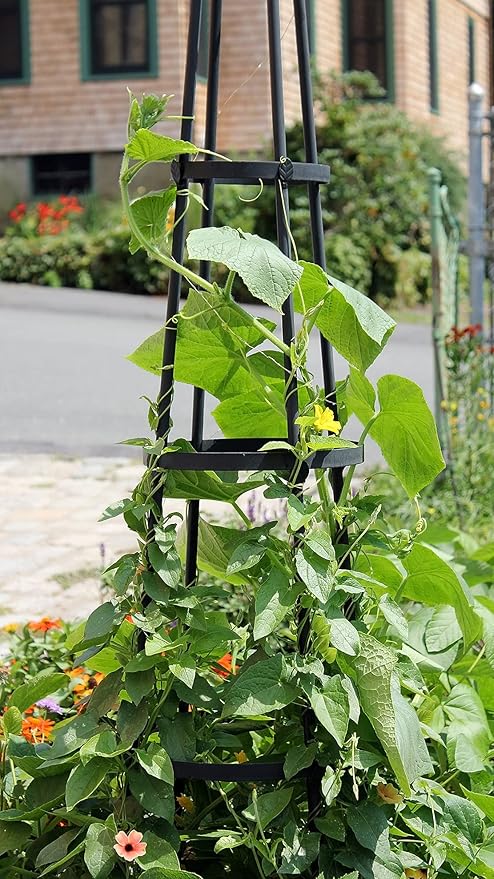 Achla Designs OBL-02A Garden Obelisk 85 H Trellis Graphite