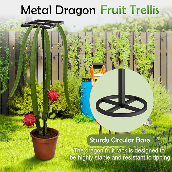 1 Pcs Dragon Fruit Trellis for Climbing Plants Adjustable Metal Plant Trellis Outdoor &amp Indoor Garden Trellis for Potted Plants Vertical Support for Dragon Fruit Cactus - Easy Assembly (1 Pack