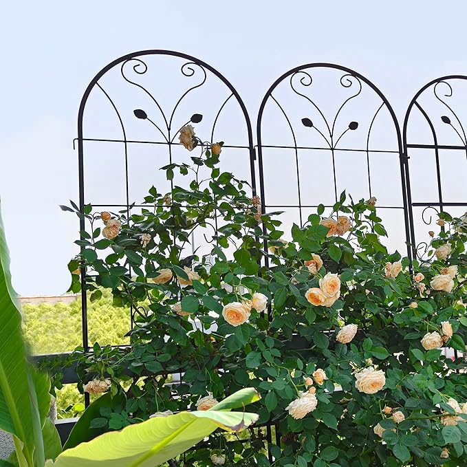 2 Pack Metal Garden Trellis for Climbing Plants Outdoor 71 x 19.7 Climbing Plant Support Rose Garden Vines Flower Vegetable Trellis for Patio Backyard