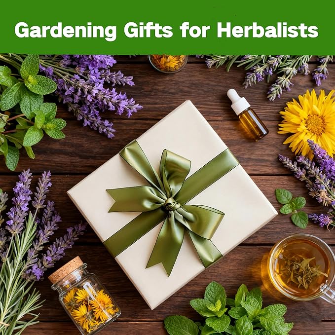Lush&ampDew Ancestral Apothecary Medicinal Tea Herb Seed Chest 36000+ Non-GMO Survival Seed Kit Gardening Gifts for Women Men 40 Types Heirloom Garden Seeds for Planting Herbs Raised Bed Windows