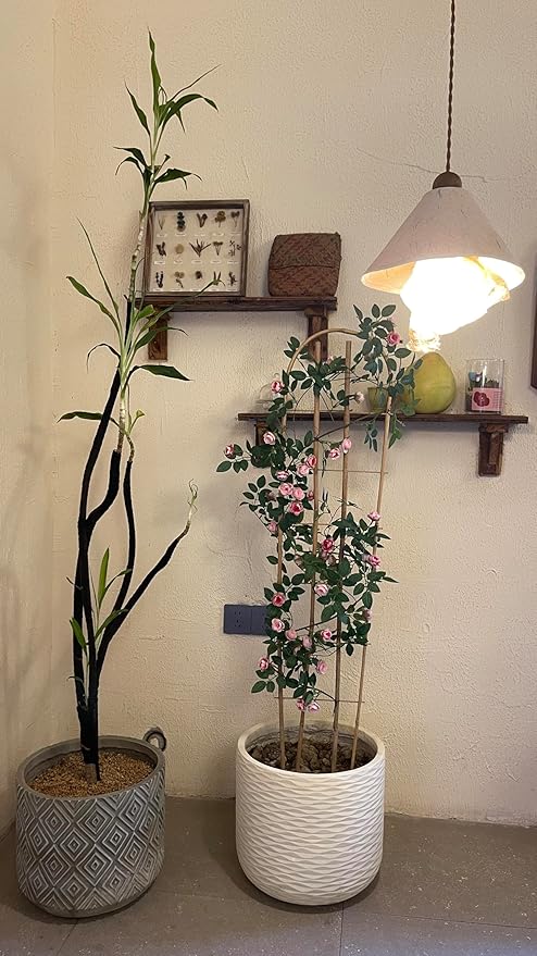 Bamboo TrellisU-Shape Bamboo Trellis4Feet3packfor Climbing Plants Outdoor BambooforClimbing PlantsTomato VegetablesFlowers Beans CucumberIndoor Potted Climb Plants