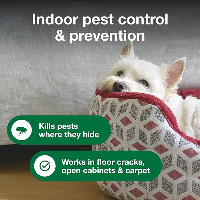Advantage Household Fogger | Kills Fleas &amp Ticks | Flea Fogger for Home | 2 oz. Canisters (Pack of 3)