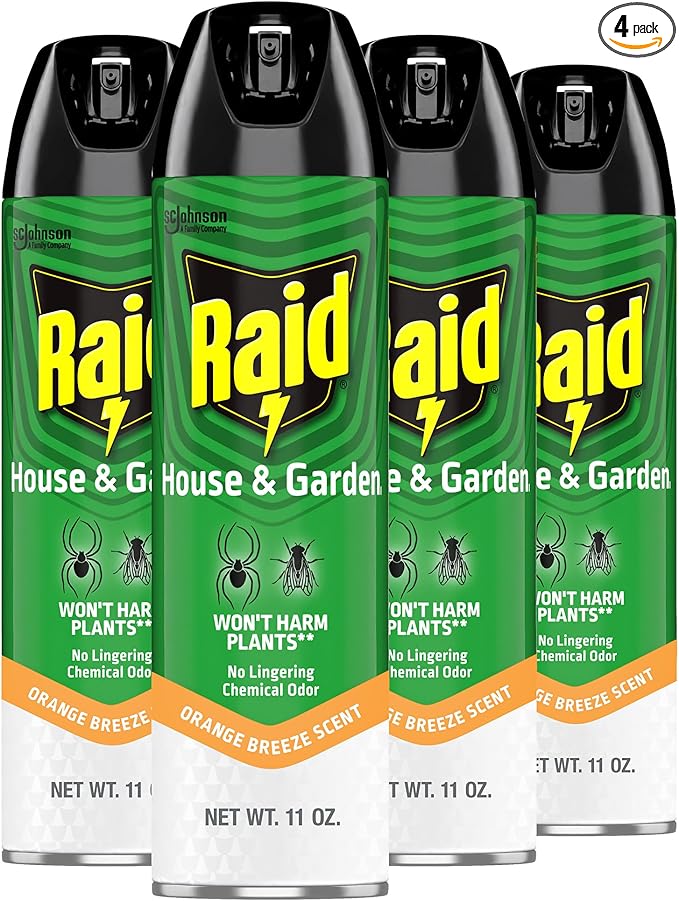 Raid House &amp Garden Insect Killer Spray Orange Scent 11 Ounce (Pack of 4)