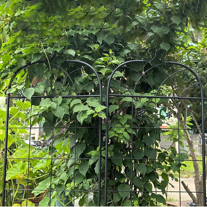 Metal Garden Trellis 2 Pack Metal Trellis for Climbing Plants