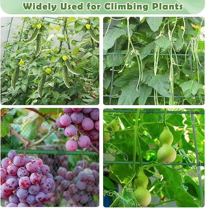 Plant Climbers Cucumber Trellis with Climbing Net &amp Detachable Support Cucumber Trellis for Garden for Towel Gourd Grape Pea Cucumber Tomato(3 Arches(120cm*120cm))
