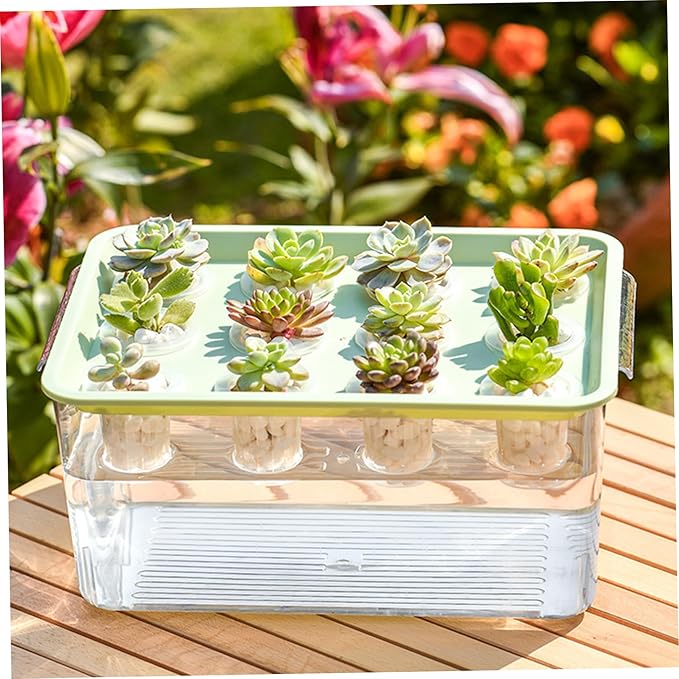 Hydroponic Planter Box 12-Hole Transparent Aquaponics Growing System with Green Lid for Home Balcony or Desktop Decor
