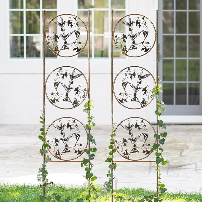 SUNNYPARK Set of 2 Hummingbird Metal Garden Trellis for Climbing Plants Decorative Vegetables Flowers Vine Trellis for Outdoor Patio 55'' H x 12.4'' W