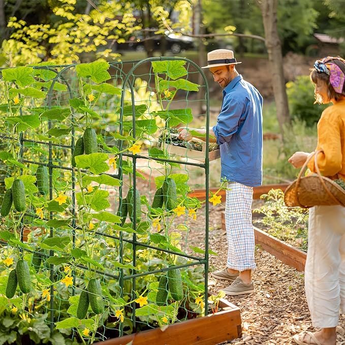 Cucumber Trellis for Raised Bed 51 x 50 Inch U-Shape Garden Trellis for Climbing Plants Outdoors Metal Garden Cucumbers Arch Trellis Cucumber Plant Support for Tomato Pea Zucchini Vine Flower