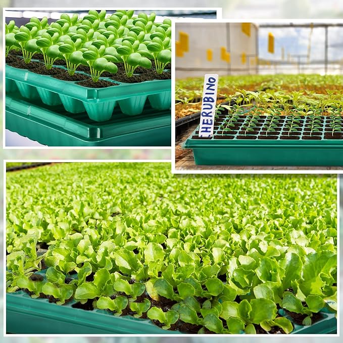 30 Pcs Seed Starter Kit 72 Cell Seedling Starting Trays and 1020 Trays No Holes Plant Growing Nursery Pots for Gardening Germination Propagation (Green)