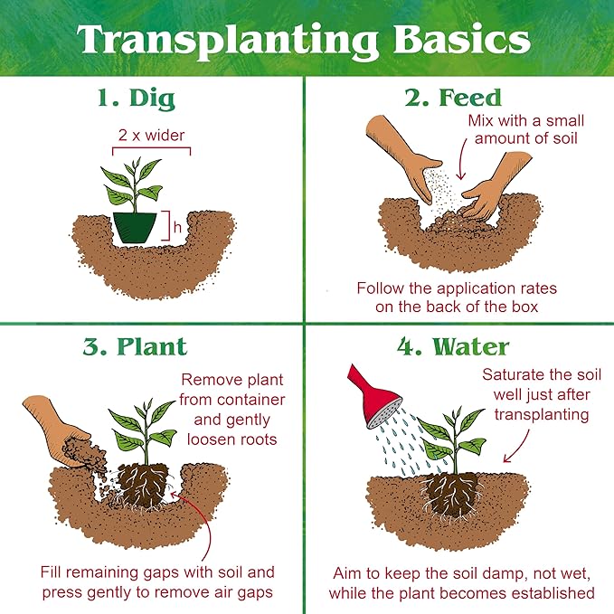 Down To Earth All Natural Fertilizers Organic Acid Mix - Plant Food for Blueberries Raspberries Azaleas and Rhododendrons 4-3-6 25 lb