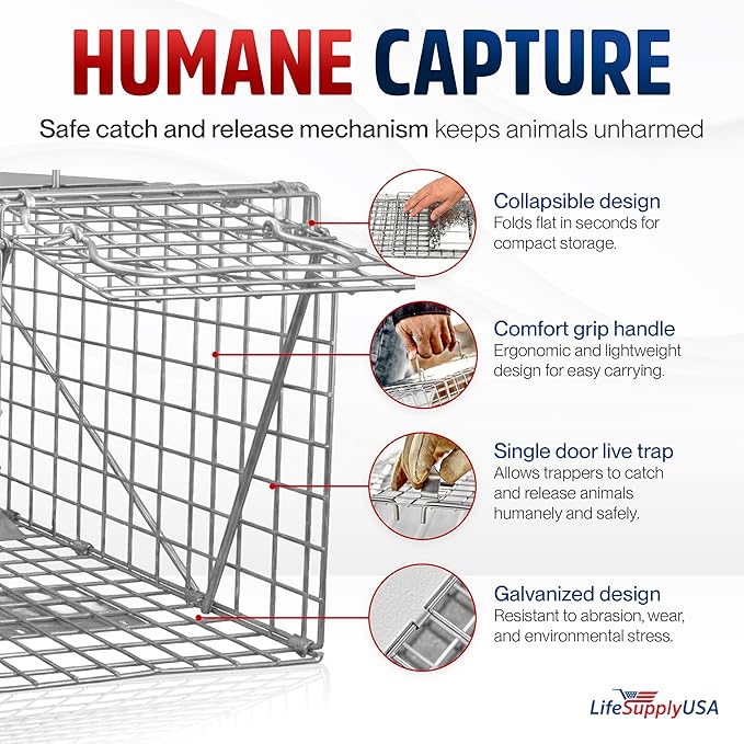 32 Humane Live Animal Trap Collapsible Heavy Duty Cage for Raccoon Possum Cat Trap for Stray Cats Armadillo Groundhog Skunk Squirrel &amp Rabbit Professional Catch &amp Release by LifeSupplyU