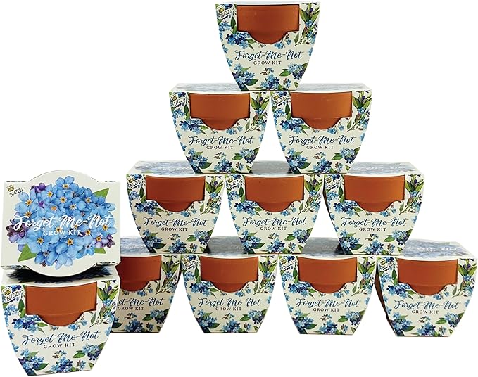 BUZZY Seeds Mini Terracotta Pots 12-Pack Daydream Forget-Me-Not Flowers All-in-One Seed Starter Kits Indoor Outdoor Gardening Gift Wedding Favors Seeds for Planting Flowers