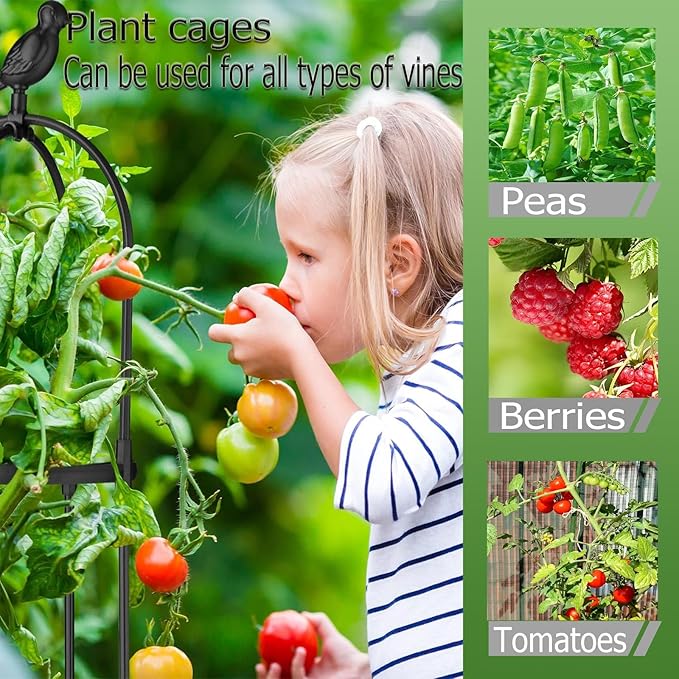 2 Pack Garden Trellis For Climbing Plants Trellis For Potted Plants Tomato Cage Pots Rustproof Metal Plant Flower Trellises Clematis Vine Jasmine Support Outdoor Indoor(Black32*120cm/11.8*47.3)