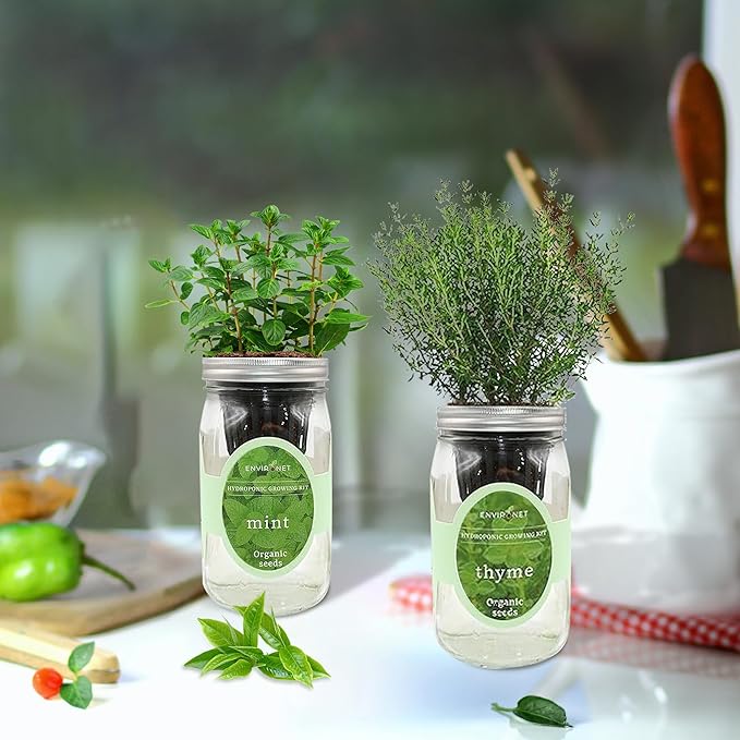 2-Pack Hydroponic Mason Jar Herb Garden Kit Indoor Herb Garden Self-Watering Starter Kit New Christmas Gift for Mom (MintThyme)