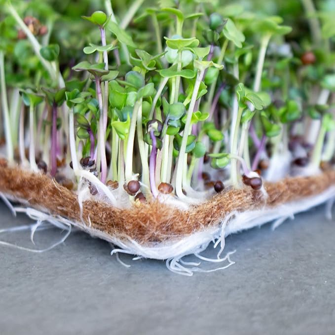 Handy Pantry Pro Micro Jute Microgreens Grow Mats 10x20 Inches for 1020 Growing Trays - Pack of 100 Pads - Hydroponic Grow Media for Micro Greens &amp Wheatgrass
