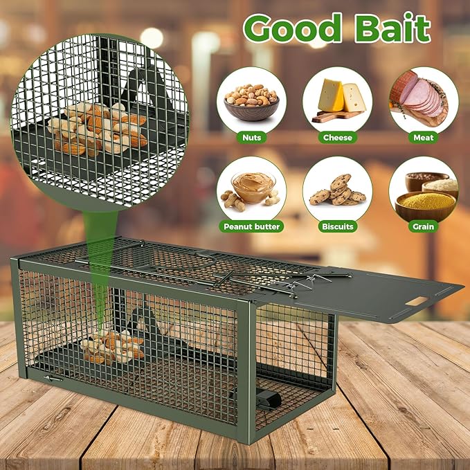 2 PCS Humane Mouse Rat Traps Mice Chipmunk Squirrel Traps and Other Live Animal Cage Catch and Release for Indoor and Outdoor-Green