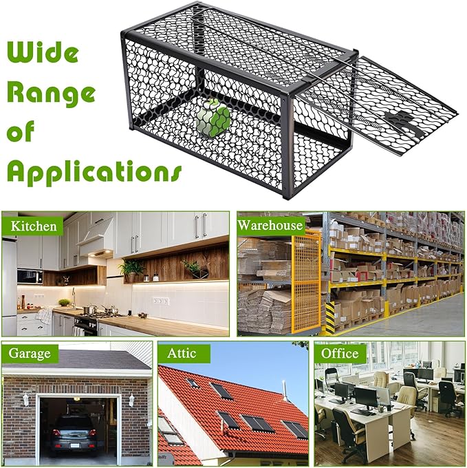 Qualirey 2 Pcs Humane Rat Trap Chipmunk Rodent Mouse Squirrel Trap 11 x 6 x 6 Inches Small Live Animal Mouse Voles Hamsters Live Cage Rat Cage for Mice Easy to Catch and Release Black