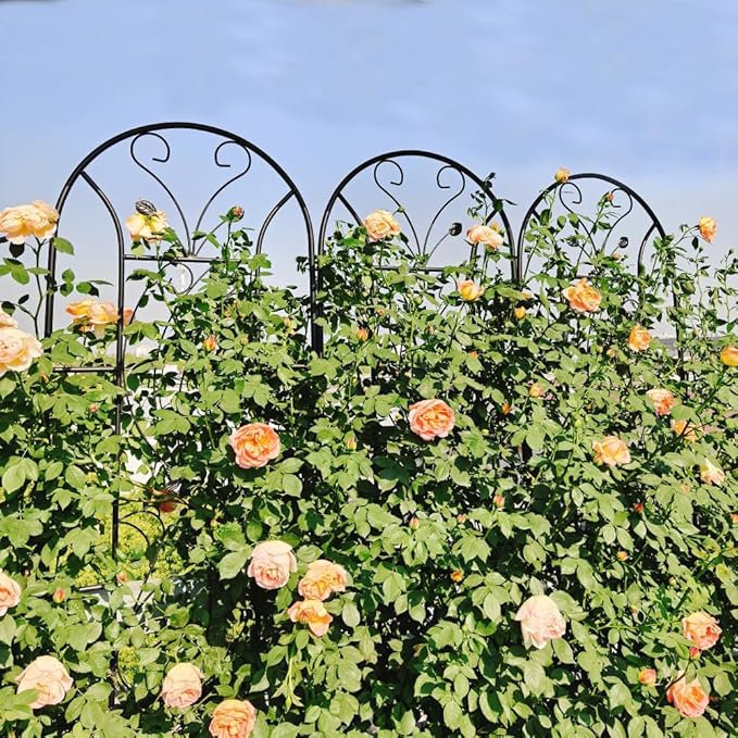 Sturdy Metal Garden Trellis for Climbing Plants – Rust-Resistant Outdoor Flower Support with Elegant Peacock Design (2 Pack)