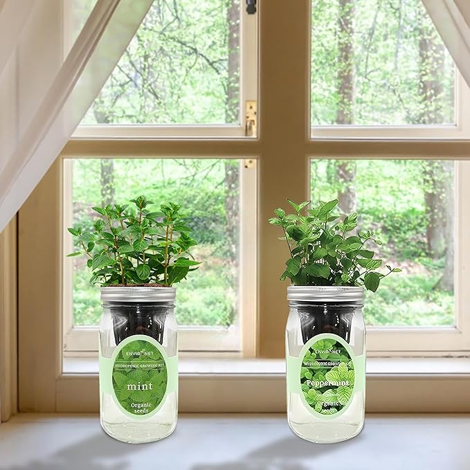 2-Pack Hydroponic Mason Jar Herb Garden Kit Indoor Herb Garden Self-Watering Starter Kit New Christmas Gift for Mom (MintPeppermint)