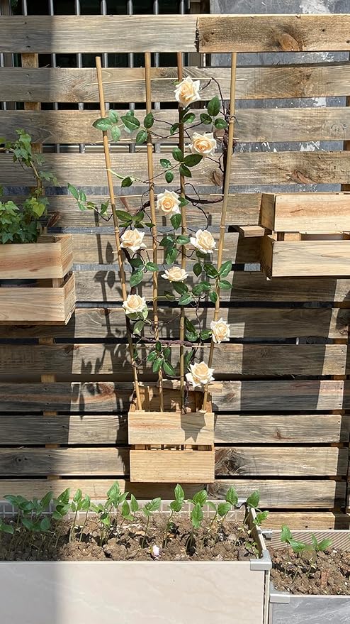 Natural Bamboo Trellis 4.8Feet3PackFan-Shaped Plant Support Trellis for Outdoor and Indoor Potted Climbing PlantsVegetables Cucumber Tomato Hoya