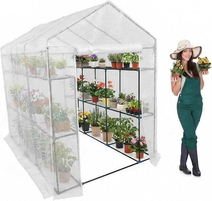 Walk-in Greenhouse for Outdoors Small Green House Outdoor with 3-Tier Shelves Roll-Up Zippered Door &amp Mesh Window All-Season Plant House for Vegetables Herbs Flowers for Patio Backyard Gardenin