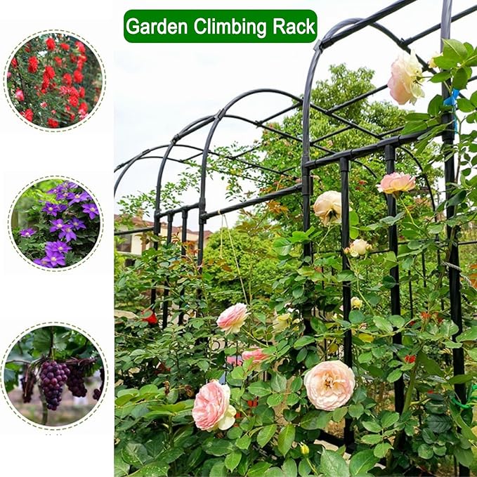 Garden Arch Arbor Trellis for Climbing Plants Outdoor Half Sided Arch Against The Wall Garden Arch Trellis Garden Trellises for Patio Lawn Backyard Black 1.96/2.95/3.93/4.92/5.9/7.21/7.87ft(A3)