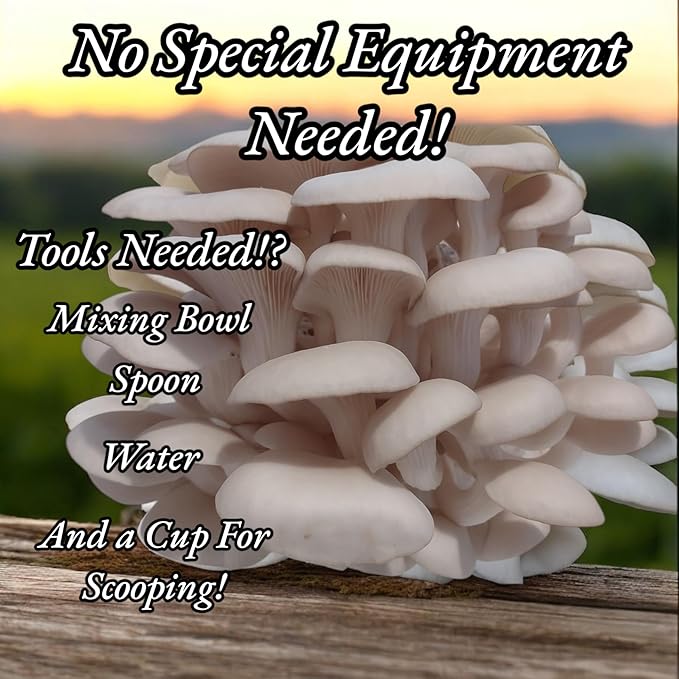 Two 5lb Oyster Mushroom Grow Kits with Live Mycelium Blue and Florida Oyster Varieties Complete Indoor Cultivation Set