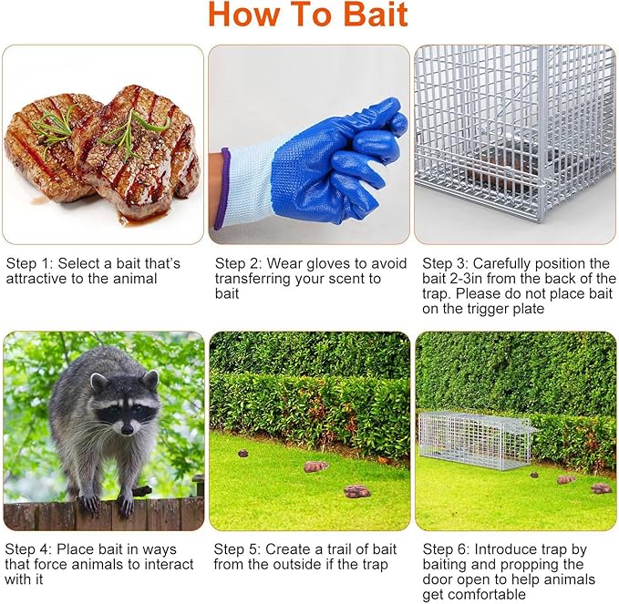 Humane Live Animal Trap 37x14x15inch Large Folding Animal Traps Cage for Raccoons Stray Dogs Armadillos Foxes Coyotes Bobcat Easy to Set &amp Release Live Trap