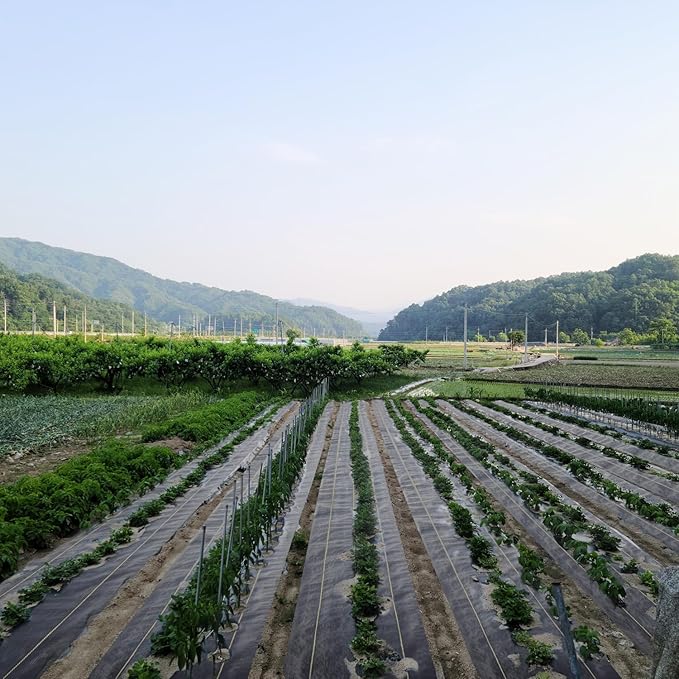 KANAGAWA 8ft x 300ft Weed Barrier Fabric 6oz Heavy-Duty Woven Landscape Fabric with Staples Breathable Weed Control for Garden Beds Driveways Farming &amp Landscaping