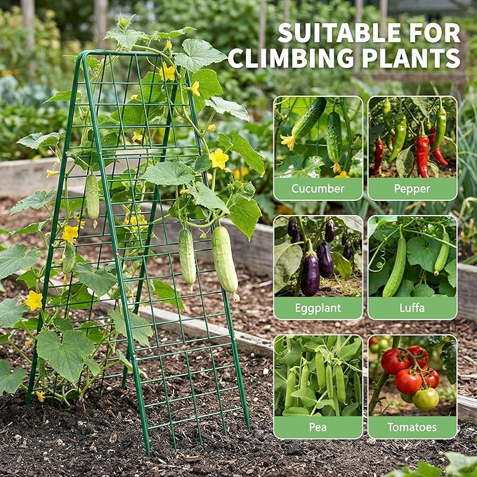 DoCred Cucumber Trellis 59 H 2 Pack Metal Foldable Thickened A Frame Garden Trellis for Raised Bed Climbing Plants Vegetables Including Plant Support Clips Twist Ties Plastic Ties Green
