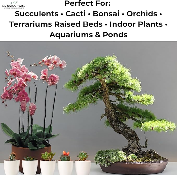 Lava Rocks for Plants (3/8’’ Minus) Natural Black Lava Rocks Succulent &amp Terrarium Horticultural Volcanic Rock Ideal Drainage for Potted Plants Made in USA (5 qts - 9 lbs)