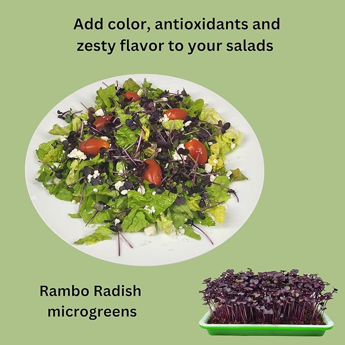 Complete Home Microgreens Kit - Indoor Garden System - Includes 2 Sets of Reusable Trays Spray Mister 2 pkgs of Hydroponic Growing Medium Organic Radish and Broccoli Seeds