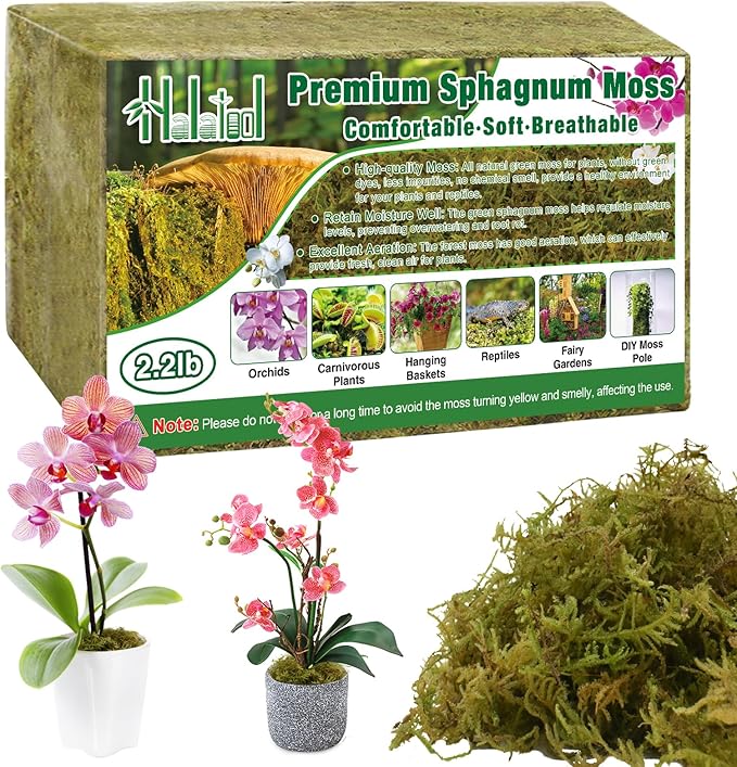 Halatool 2.2LB Premium Sphagnum Moss for Plants 50QT Green Moss for Plants Indoor Potted Orchid Moss for Repotting Succulent Carnivorous Terrarium Gardening Reptiles
