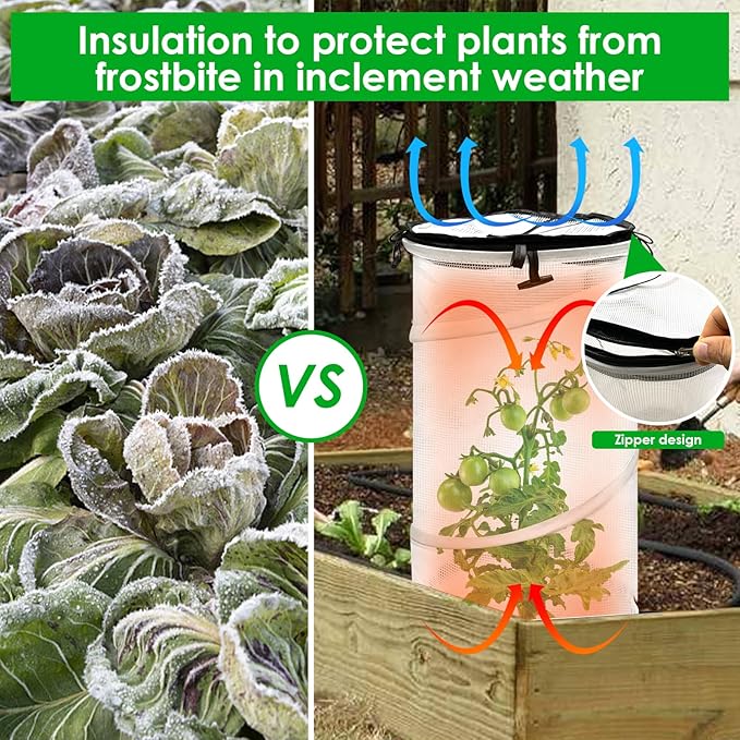 2 Pack Pop Up Mini Greenhouse for Raised Garden Bed Portable PVC Spring-Up Popup Greenhouse Plant Protector and Frost Cover for Young Tomato Plants &amp Other Plant Seedlings for Frost Rain Proof (bl