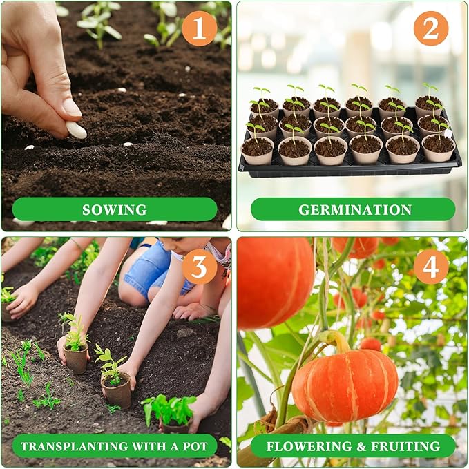 Vesici 220 Pcs Seed Starter Tray Kit Include 180 Peat Pots with Drainage Holes 10 Plastic Growing Trays Plant Germination Trays for Seedling 30 Plant Labels for Greenhouse Seedling