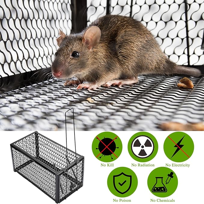 Qualirey 2 Pcs Humane Rat Trap Chipmunk Rodent Mouse Squirrel Trap 11 x 6 x 6 Inches Small Live Animal Mouse Voles Hamsters Live Cage Rat Cage for Mice Easy to Catch and Release Black