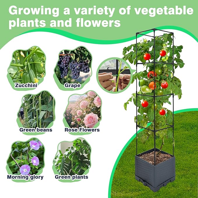 Raised Garden Bed Planter Box 2 Pack 56 Self-Watering Tomato Planter with Trellis for Climbing Vegetables Plants Grape Fruit FlowersUse for Indoor Outdoor Garden Patio