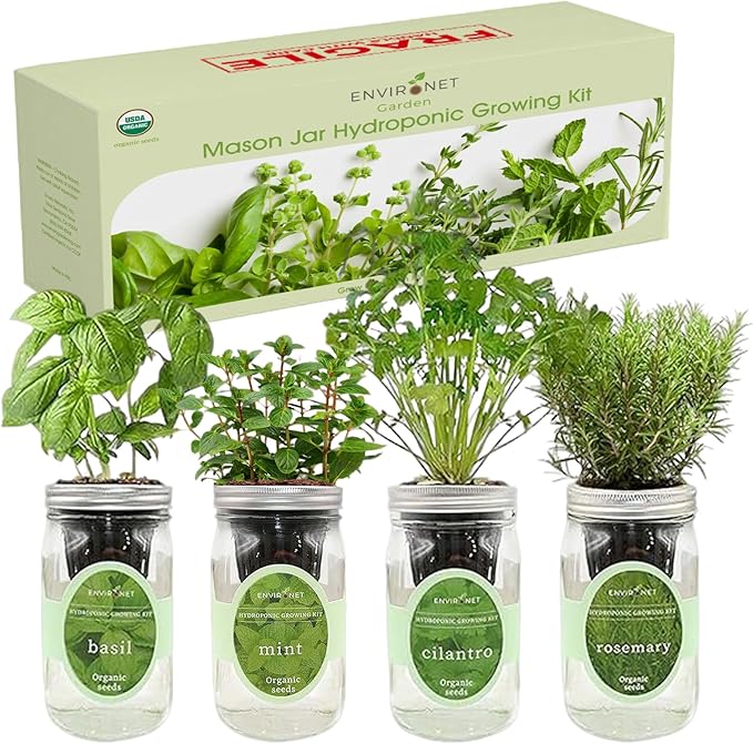 Hydroponic Herb Growing Kit Set Self-Watering Mason Jar Herb Garden Starter Kit Indoor Grow 4 Kinds of Herbs from Seeds (Basil Mint Cilantro &amp Rosemary)