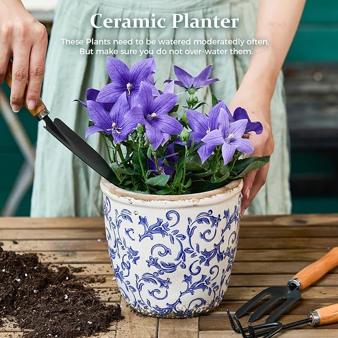 Vintage Ceramic Planter Without Drainage Hole 6.5 Inch - Indoor/Outdoor Flower Pot for Orchids Succulents Blue Floral Rustic Farmhouse Plant Pot for Home Office &amp Garden Décor Ideal Gift