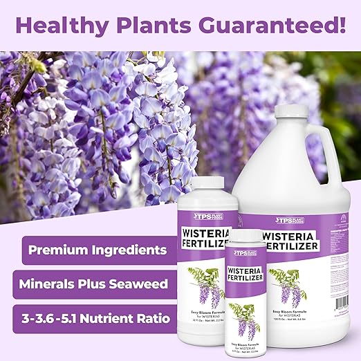 Wisteria Fertilizer – Liquid Plant Food for More Blooms Stronger Vines &amp Healthy Root Development 1 Gallon