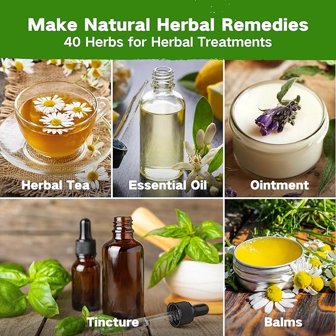 Lush&ampDew Ancestral Apothecary Medicinal Tea Herb Seed Chest 36000+ Non-GMO Survival Seed Kit Gardening Gifts for Women Men 40 Types Heirloom Garden Seeds for Planting Herbs Raised Bed Windows