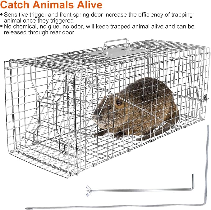KOCASO Live Animal Trap Cage Large Foldable Galvanized Steel Humane Animal Cage Trap Heavy Duty Metal Cat Trap Cage for Stray Cat Raccoon Groundhog Squirrel Chipmunk Mole Gopher Skunk 31x11x12