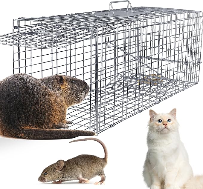 31 Humane Live Animal Cage Trap Heavy Duty Folding Cat Trap for Stray Cats Raccoons Squirrels Skunks Groundhogs Moles Opossums Rabbits and More – Catch and Release