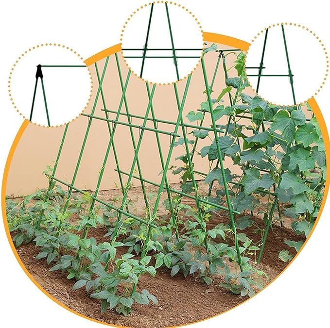 Cucumber Trellis Plant Stakes Tomato Cage Plant Support Garden Trellis for Flowers Vines Vertical Climbing Plants Yard- 90 cmx90 cm