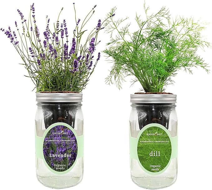 2-Pack Hydroponic Mason Jar Herb Garden Kit Indoor Herb Garden Self-Watering Starter Kit New Christmas Gift for Mom (DillLavender)