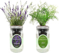 2-Pack Hydroponic Mason Jar Herb Garden Kit Indoor Herb Garden Self-Watering Starter Kit New Christmas Gift for Mom (DillLavender)