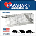 Havahart Large 2 Door Humane Catch and Release Live Animal Trap for Armadillos Beavers Bobcats Small Dogs Cats Foxes Groundhogs Nutria Opossums Raccoons Live Catch Trap for Stray Dogs 1045SR