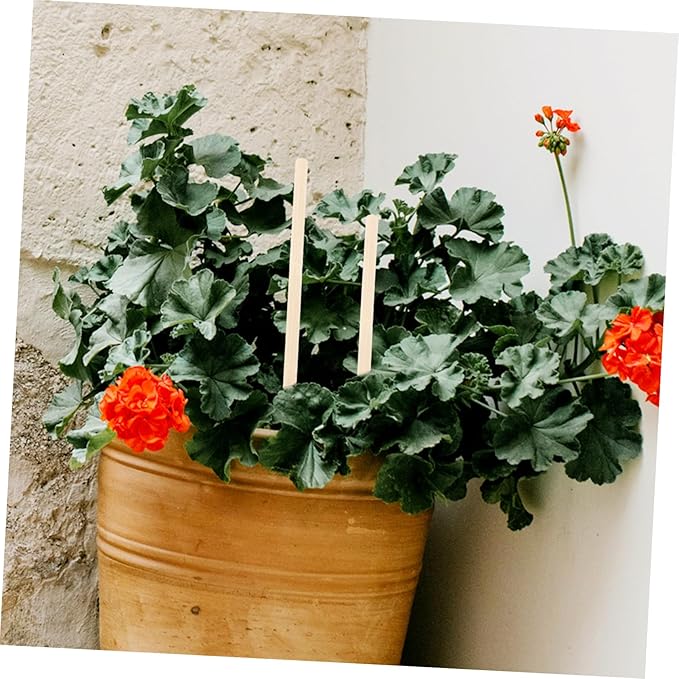 UPKOCH 50pcs Garden Trellis Support for Climbing Plants Plant Holder Rack for Outdoor Use