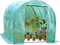 FDW Portable Greenhouse (L9.83'xW6.42'xH6.33') Indoor Outdoor Large Plant Shelves Tomato Herb Canopy Winter Walk-in Green House for Patio